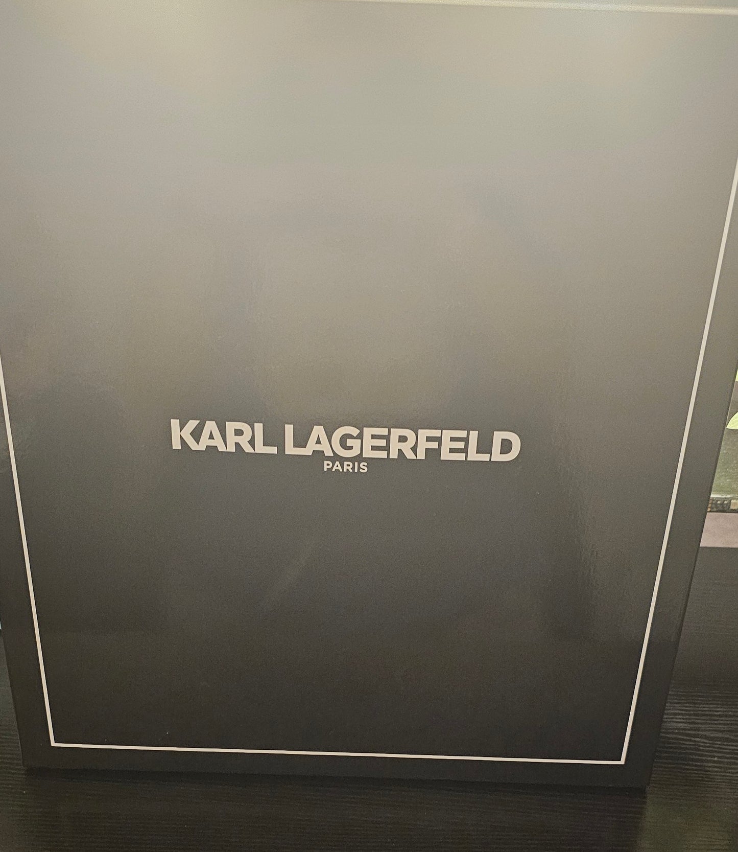 Karl Lagerfeld heart bag - Christine Boutique Glam
