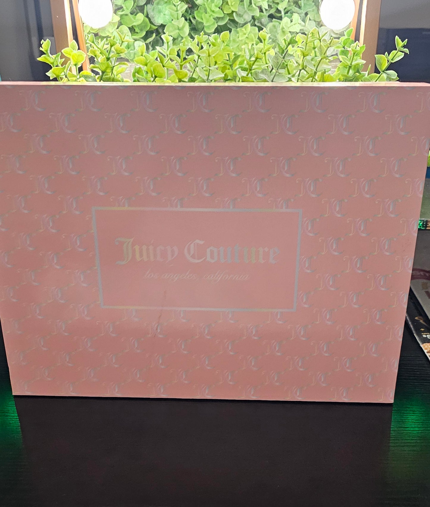 Juicy Couture mini tote and coin purse set.